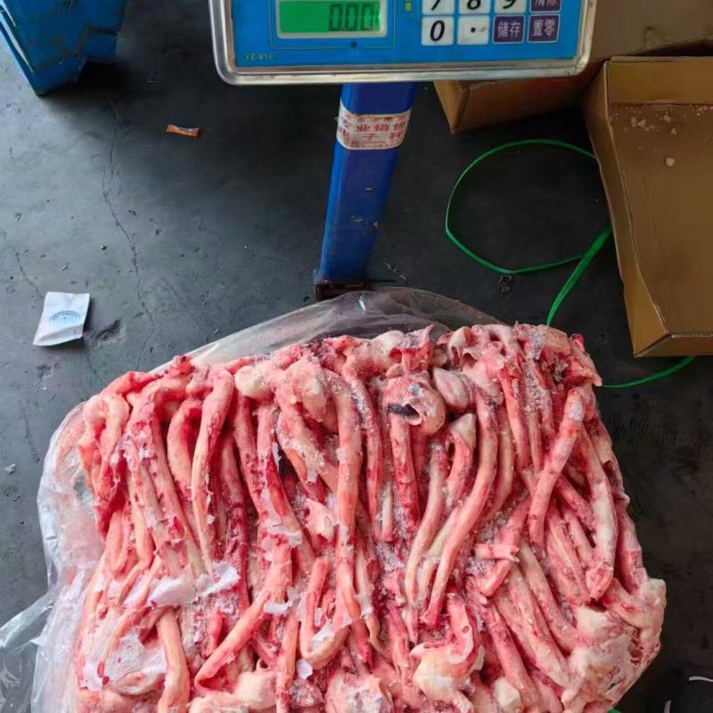 心管