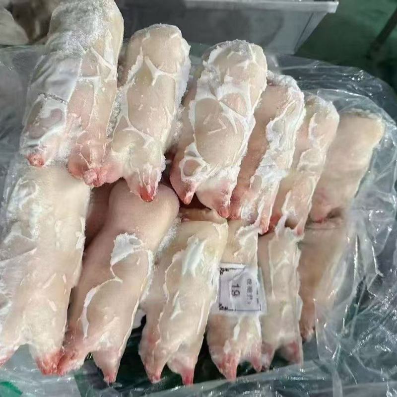 肥猪猪蹄调理