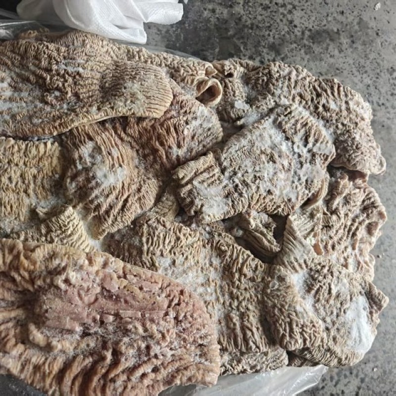 牛碗口