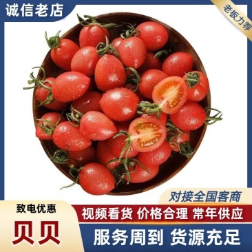 寿光贝贝圣女果新鲜采摘产地直供小番茄批发量大从优