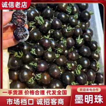 寿光产地直供墨明珠圣女果黑珍珠鲜果应季批发货源充足