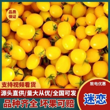 寿光精品迷恋圣女果脆甜多汁小番茄产地货源大量批发价优