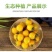 寿光精品迷恋圣女果脆甜多汁小番茄产地货源大量批发价优