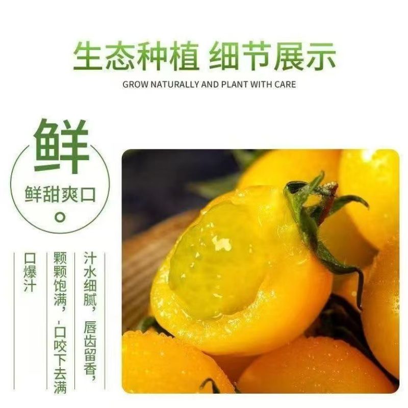寿光精品迷恋圣女果脆甜多汁小番茄产地货源大量批发价优