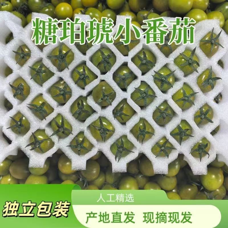 寿光糖珀琥圣女果应季鲜果小番茄基地直供批发长期供货