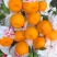 春见耙耙柑主产区大量供应出货中