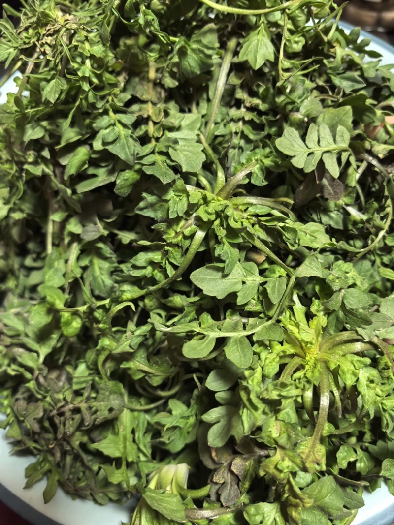 荠荠菜/产区直发/货源充足/大量发车/欢迎选购