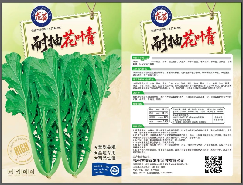 粉杆青菜种子云南特色小苦菜种子中早熟耐寒田园蔬菜种子