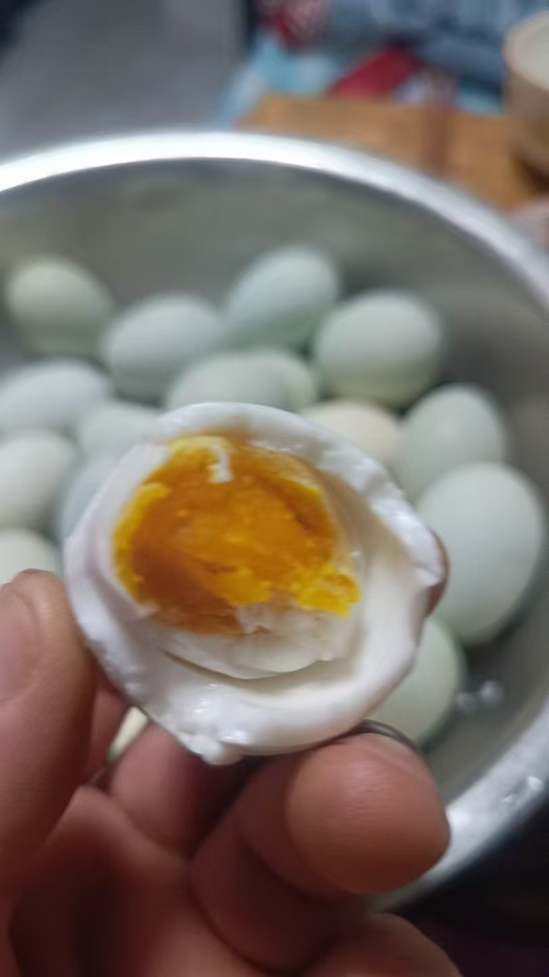 黑龙江笨鸭蛋新鲜上市价格美丽对接全国量大从优热卖