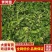 荠荠菜/产区直发/货源充足/大量发车/欢迎选购