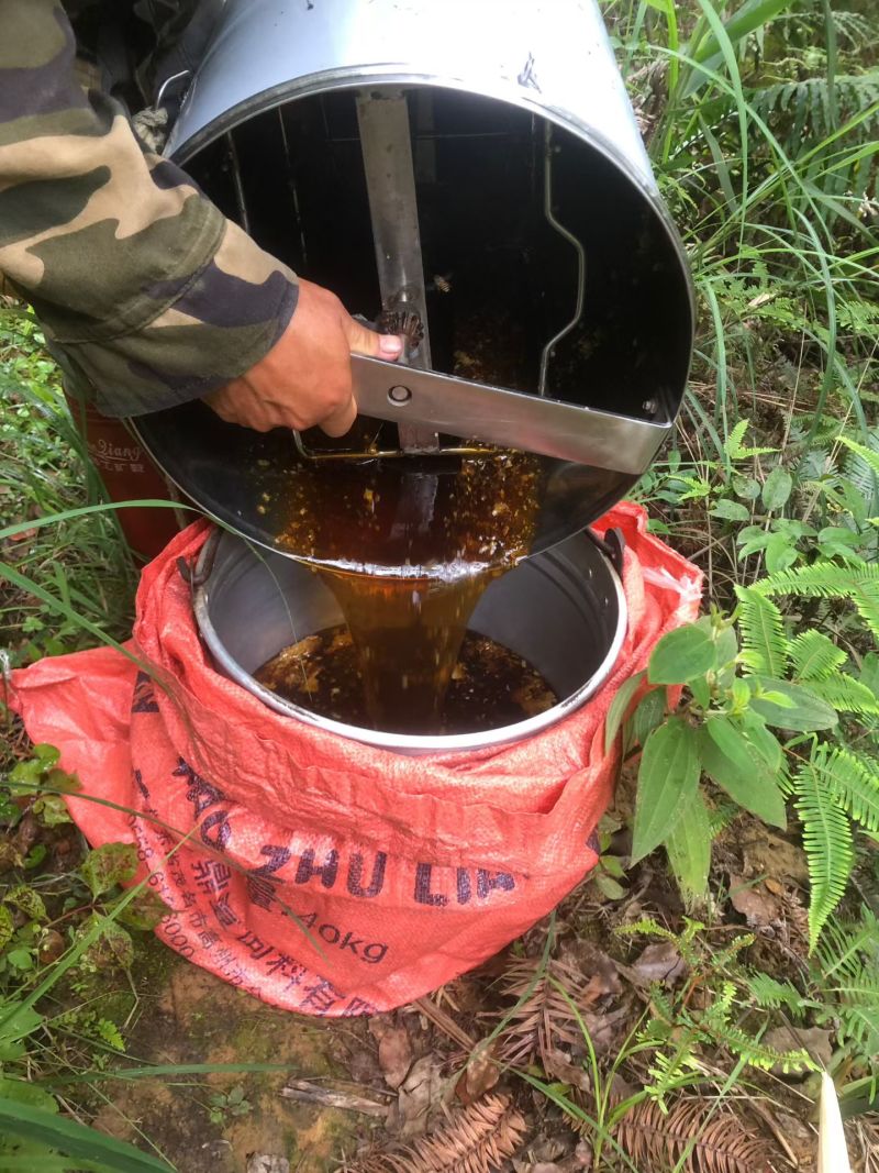 农家高山野生蜂蜜