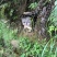 农家高山野生蜂蜜