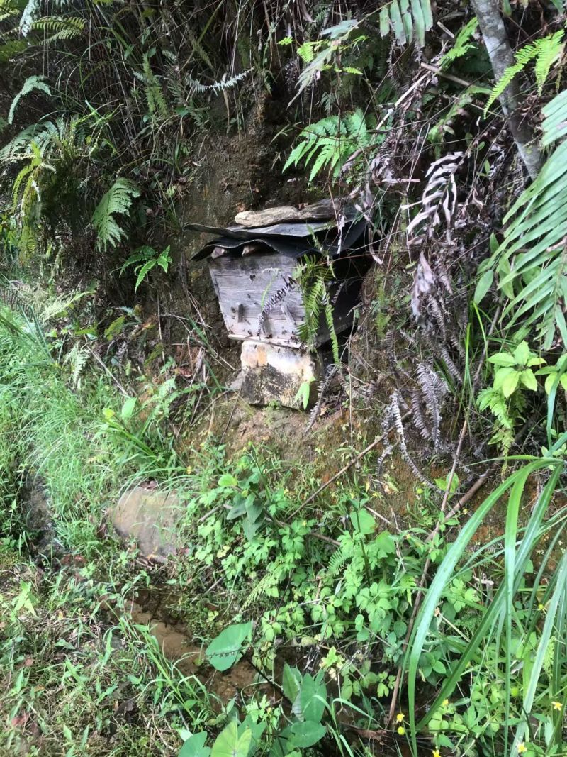 农家高山野生蜂蜜