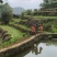 农家高山野生蜂蜜