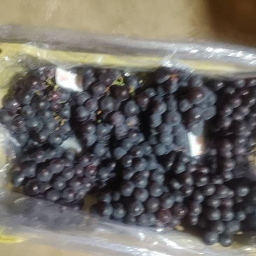 巨丰自然果
