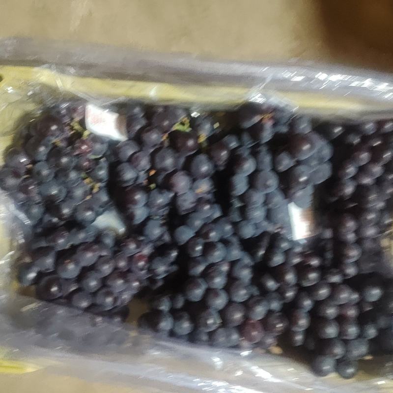 巨丰自然果