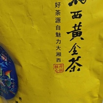 售湘西保靖黄金茶、古丈毛尖茶