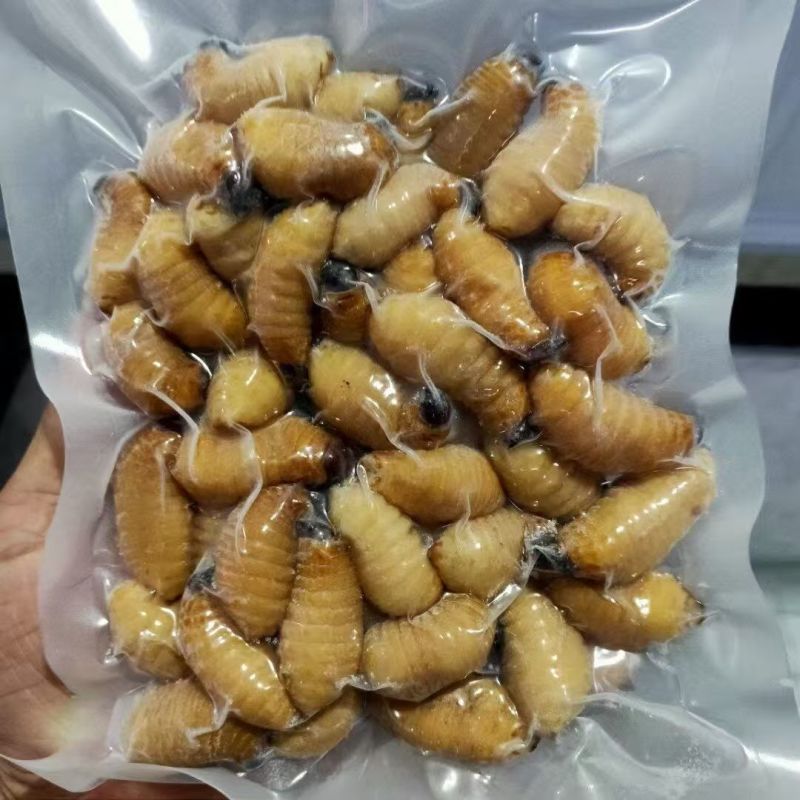 广东冰鲜竹虫/速冻鲜活竹虫/冰冻整箱高蛋白食用冷冻昆虫商