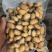 广东冰鲜竹虫/速冻鲜活竹虫/冰冻整箱高蛋白食用冷冻昆虫商