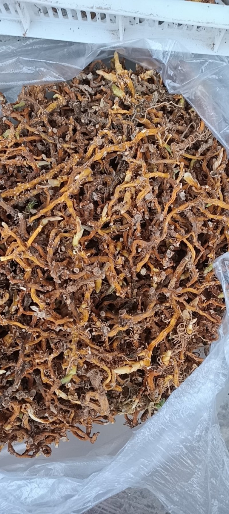 贵州深山野生玉竹条蒸一次自然凉干安全无硫