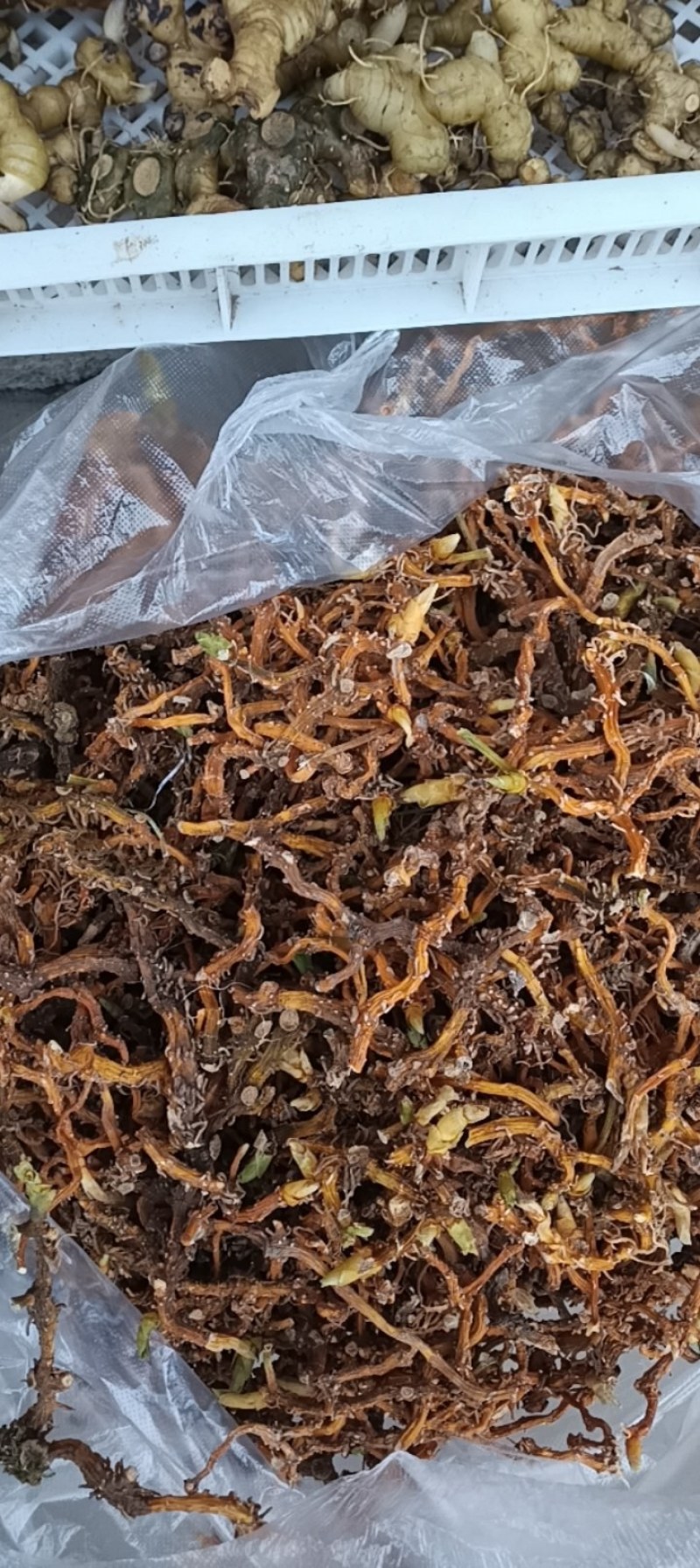 贵州深山野生玉竹条蒸一次自然凉干安全无硫