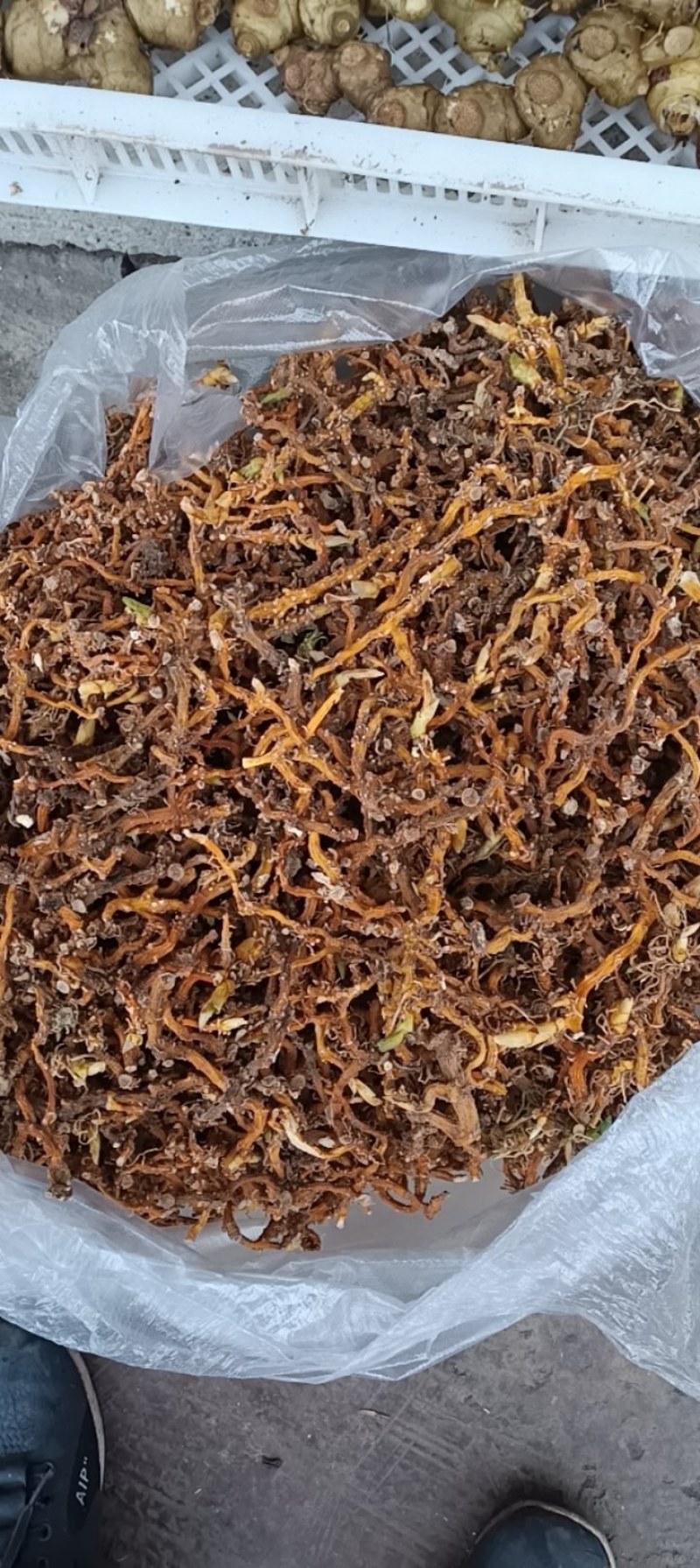 贵州深山野生玉竹条蒸一次自然凉干安全无硫
