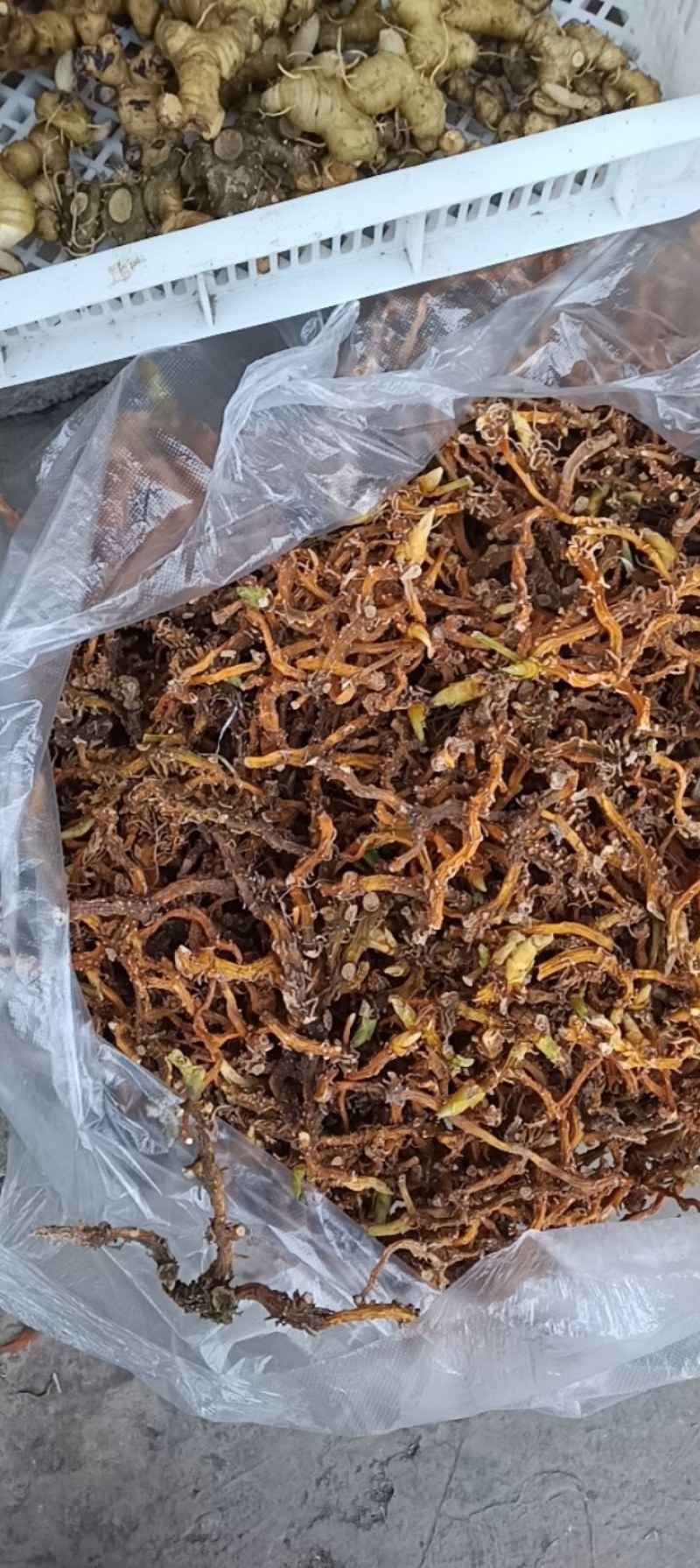 贵州深山野生玉竹条蒸一次自然凉干安全无硫