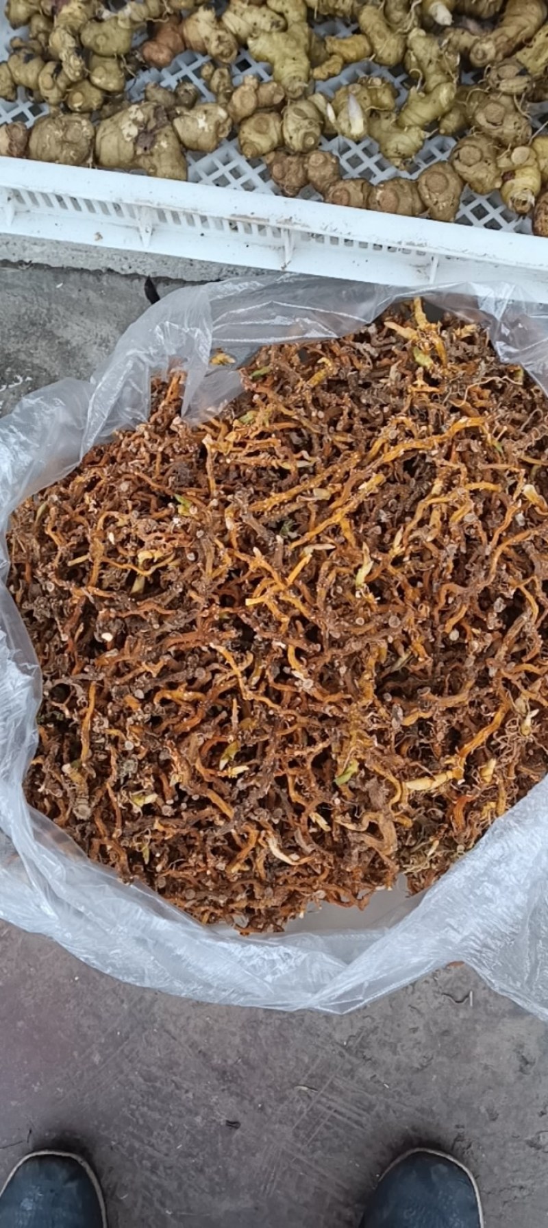 贵州深山野生玉竹条蒸一次自然凉干安全无硫