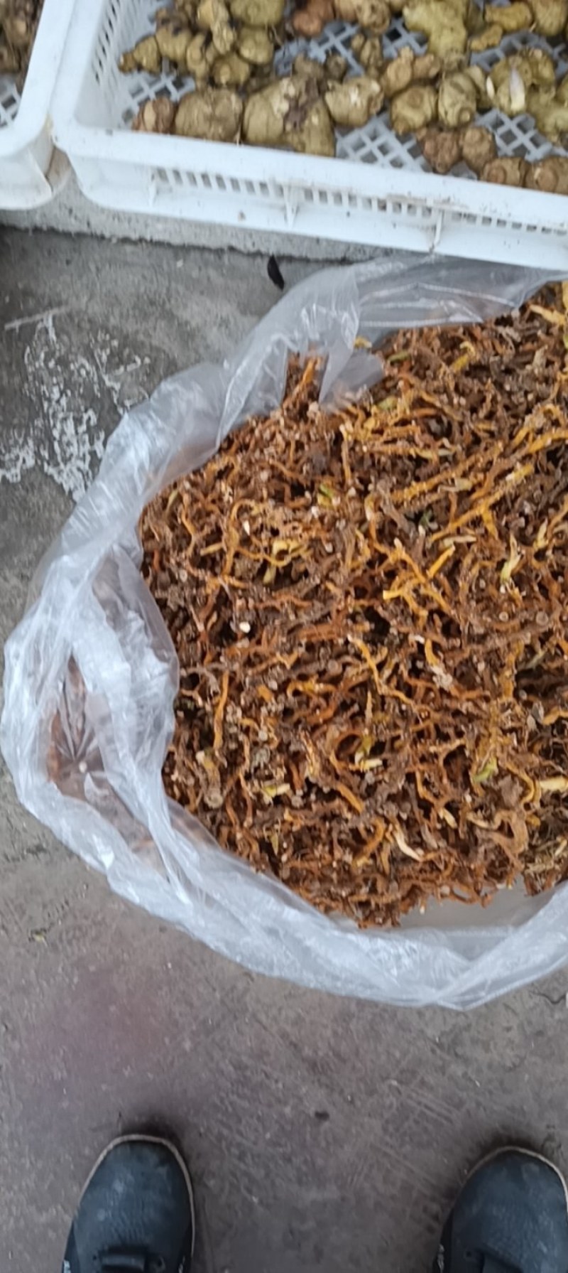 贵州深山野生玉竹条蒸一次自然凉干安全无硫