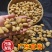 广东冰鲜竹虫/速冻鲜活竹虫/冰冻整箱高蛋白食用冷冻昆虫商