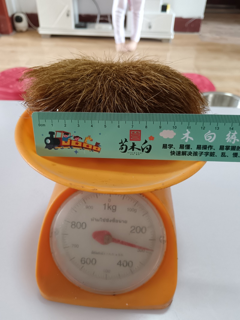 猪宝