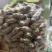 五香花生工厂直供，不含防腐剂***剂纯大料卤制