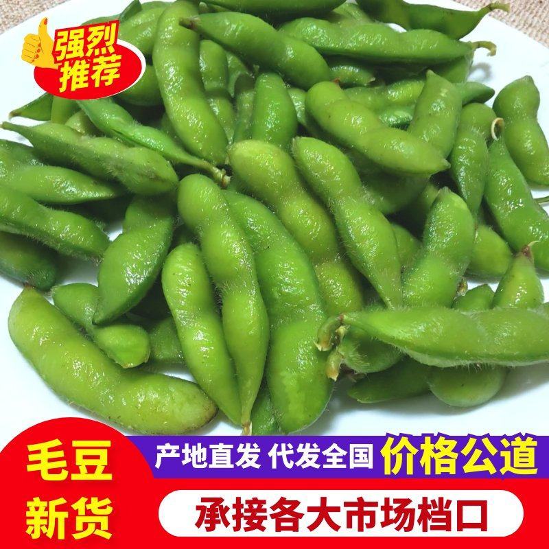 毛豆工厂直发，一手货源，品质保证，欢迎来电视频看货