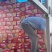 海南晓蜜25号