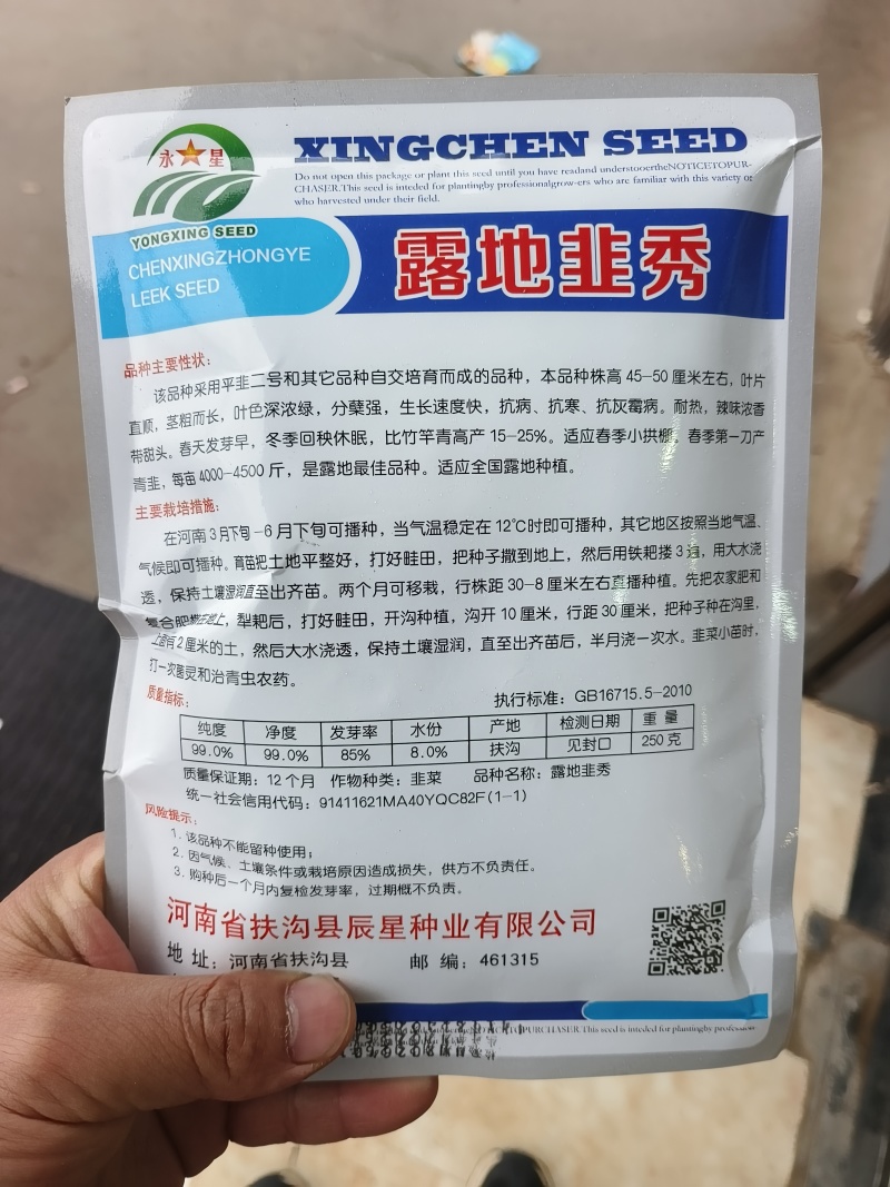 露地韭秀休眠品种抗病抗寒叶色深浓绿分孽强辣味浓香带甜头