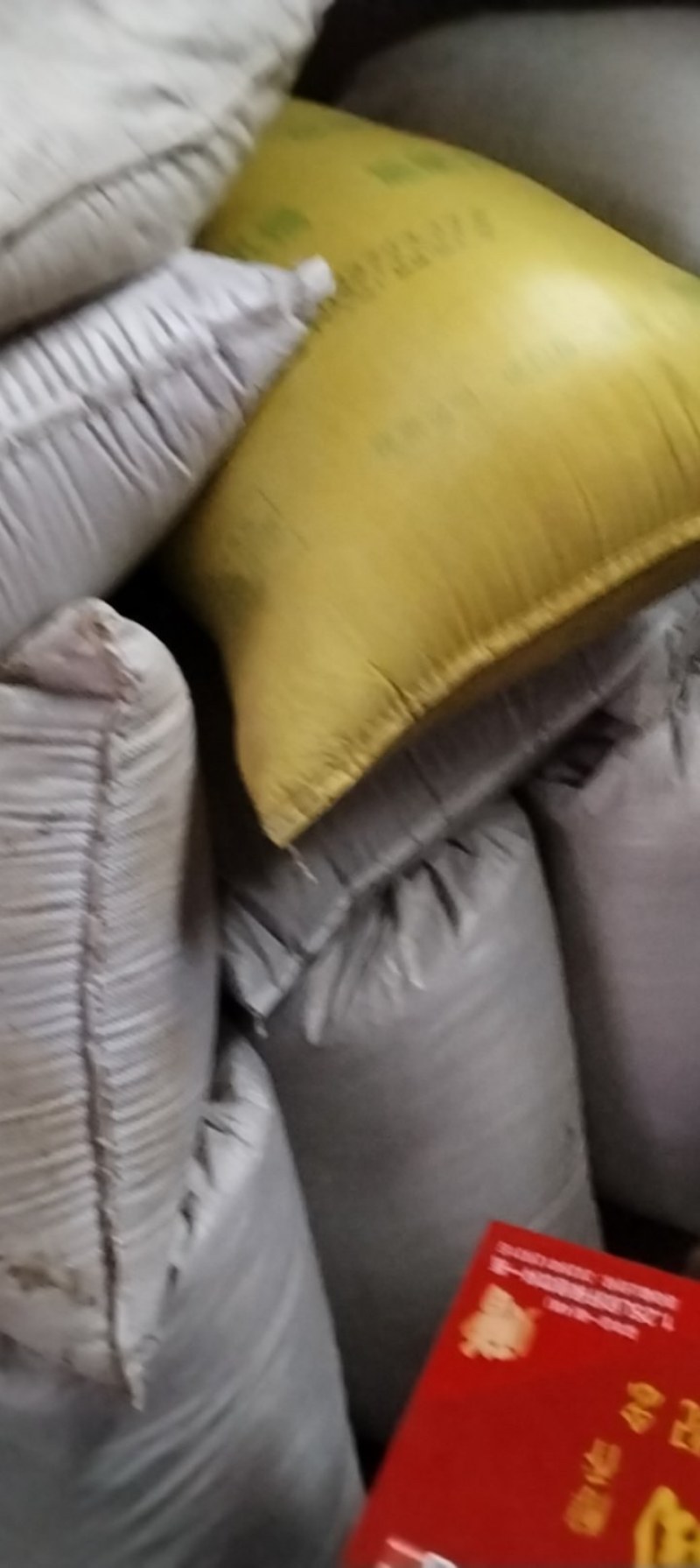 自产优质白芝麻颗粒保满品质好无杂质一吨货不零卖可上门收购