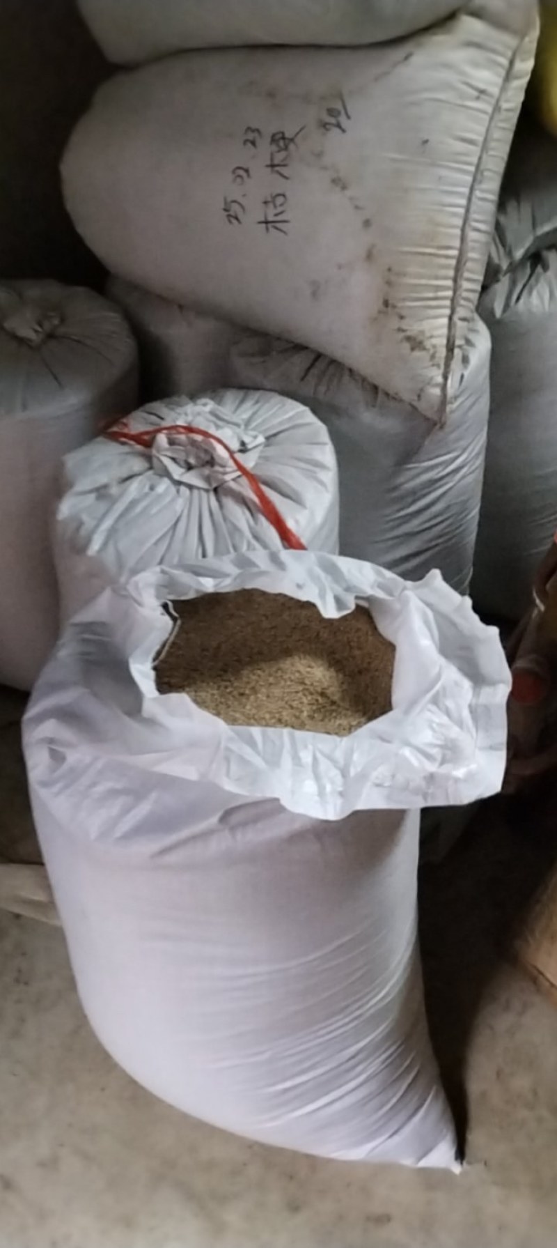 自产优质白芝麻颗粒保满品质好无杂质一吨货不零卖可上门收购