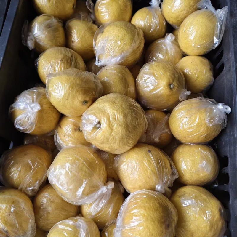 黄金贡柚【产地】湖南怀化自家果园种植