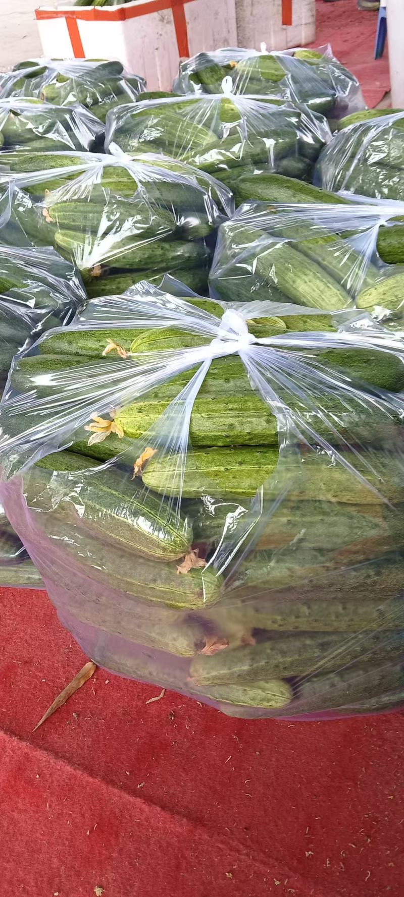燕青黄瓜不瑟口，产地直发货源充足，品质保证欢迎来电