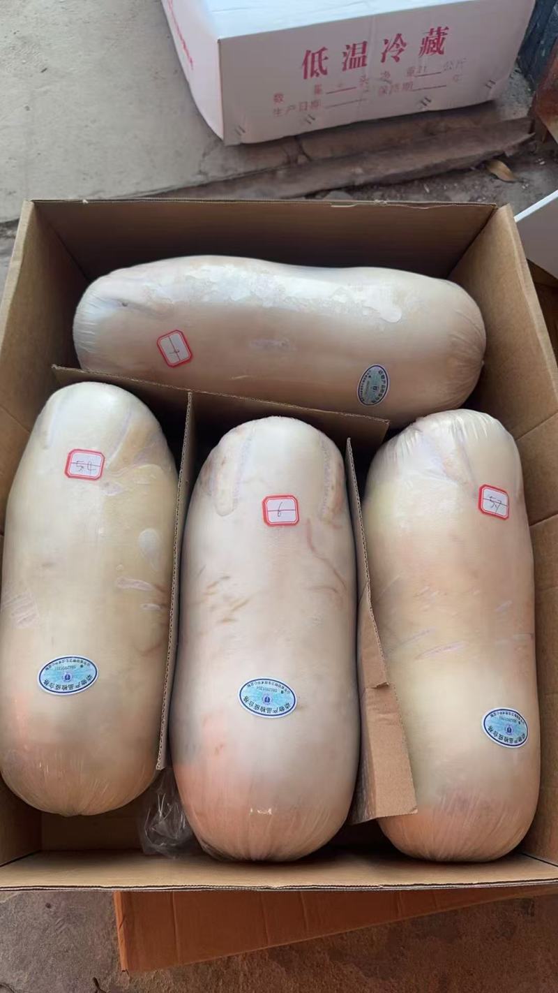 【精品】鲜冻乳猪厂家货源供应稳定价格优惠欢迎全国老板合作