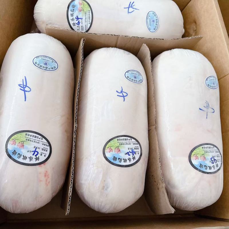 【精品】鲜冻乳猪厂家货源供应稳定价格优惠欢迎全国老板合作