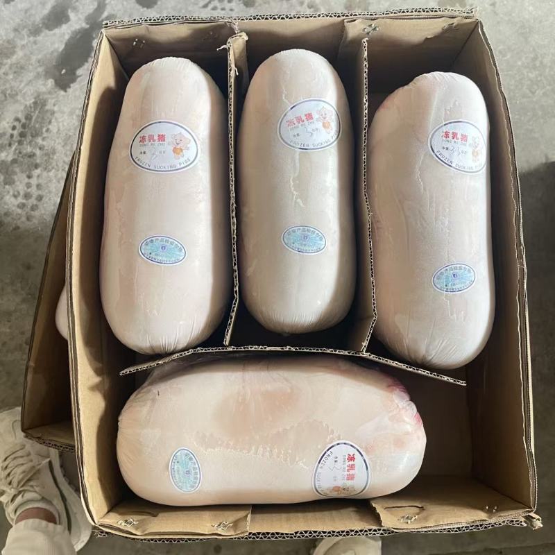 【精品】鲜冻乳猪厂家货源供应稳定价格优惠欢迎全国老板合作