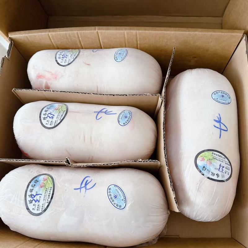 【精品】鲜冻乳猪厂家货源供应稳定价格优惠欢迎全国老板合作