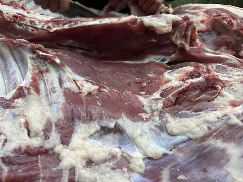 【推荐】四川黑猪肉/品质保障/视频看货/支持批发一件代发