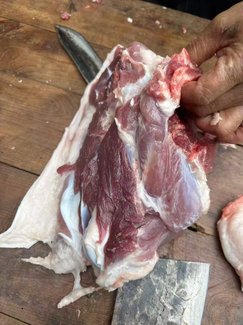 【推荐】四川黑猪肉/品质保障/视频看货/支持批发一件代发