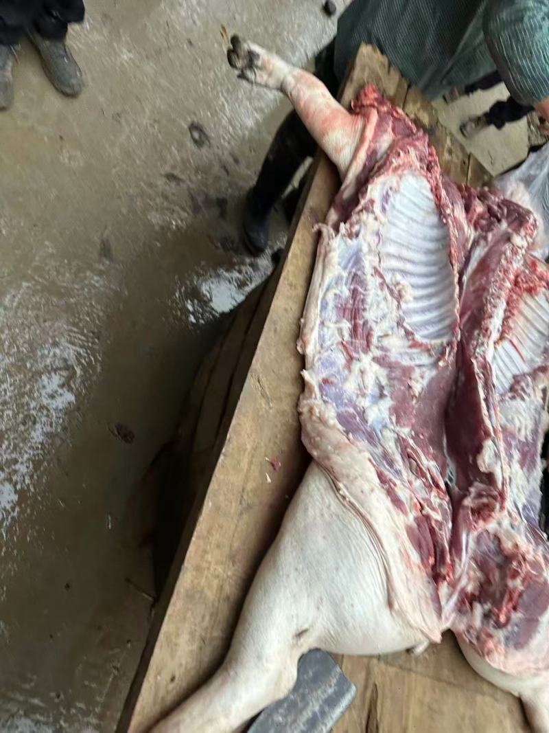 【推荐】四川黑猪肉/品质保障/视频看货/支持批发一件代发