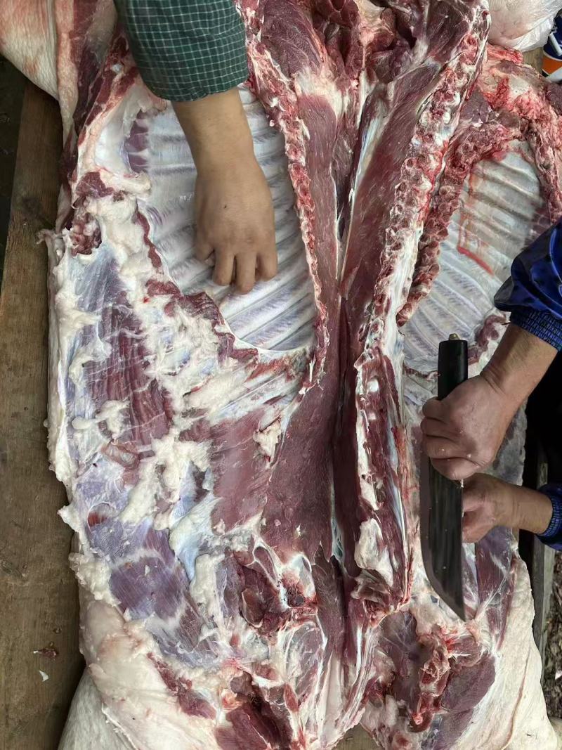 【推荐】四川黑猪肉/品质保障/视频看货/支持批发一件代发