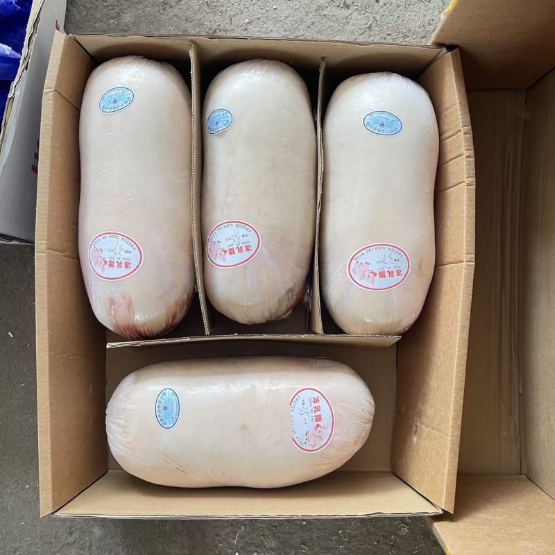 【精品】鲜冻乳猪批发工厂店一手货源供应稳定欢迎老板合作