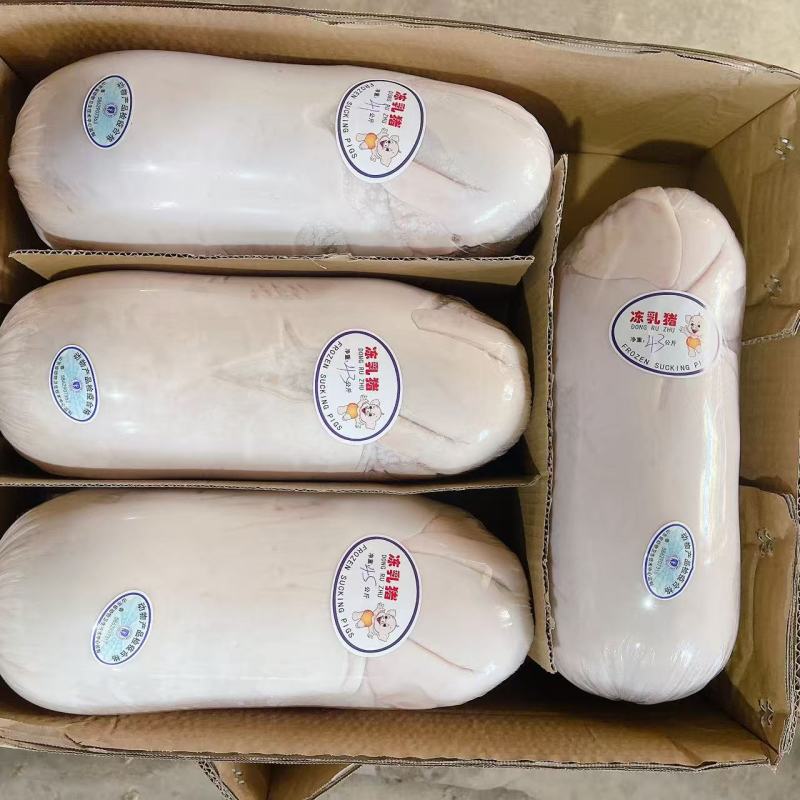 【精品】鲜冻乳猪批发工厂店一手货源供应稳定欢迎老板合作