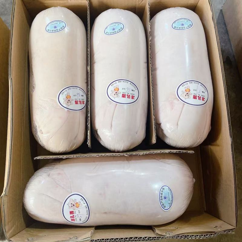 【精品】鲜冻乳猪批发工厂店一手货源供应稳定欢迎老板合作